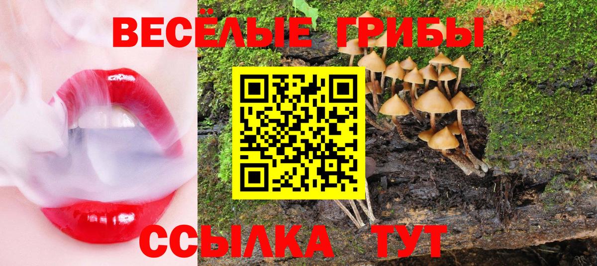 Галлюциногенные грибы Psilocybe Артём