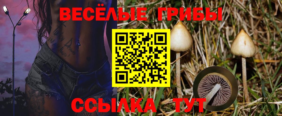 Галлюциногенные грибы Psilocybe  где можно купить наркотик  Галлюциногенные грибы Cubensis  Артём  Вход с VPN 