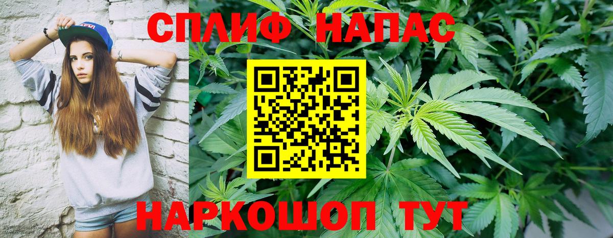 Шишки марихуана гибрид  Бошки Шишки White Widow  Марихуана план  Канабис сатива  Артём  Вход с VPN 